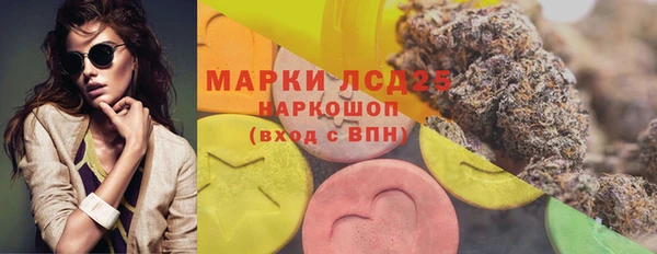 ГАЛЛЮЦИНОГЕННЫЕ ГРИБЫ Баксан