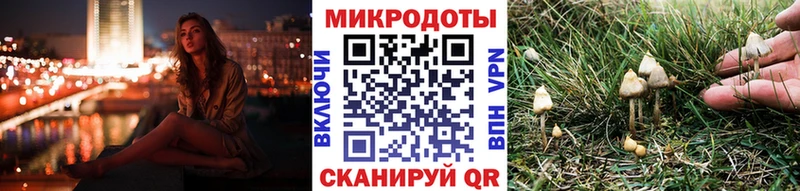 Псилоцибиновые грибы Psilocybe  даркнет сайт  Хотьково 